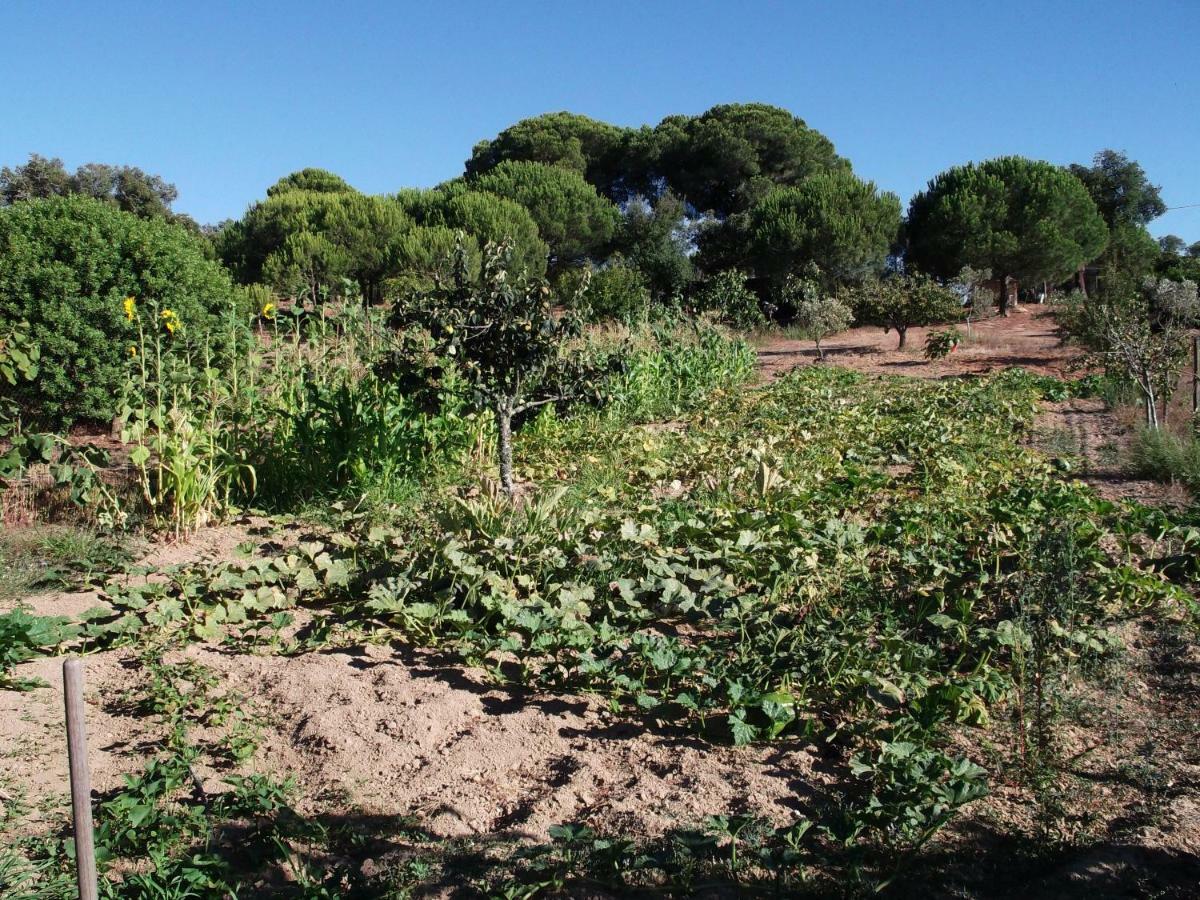 Quinta Do Pinheiro Ξενοδοχείο Grândola Εξωτερικό φωτογραφία