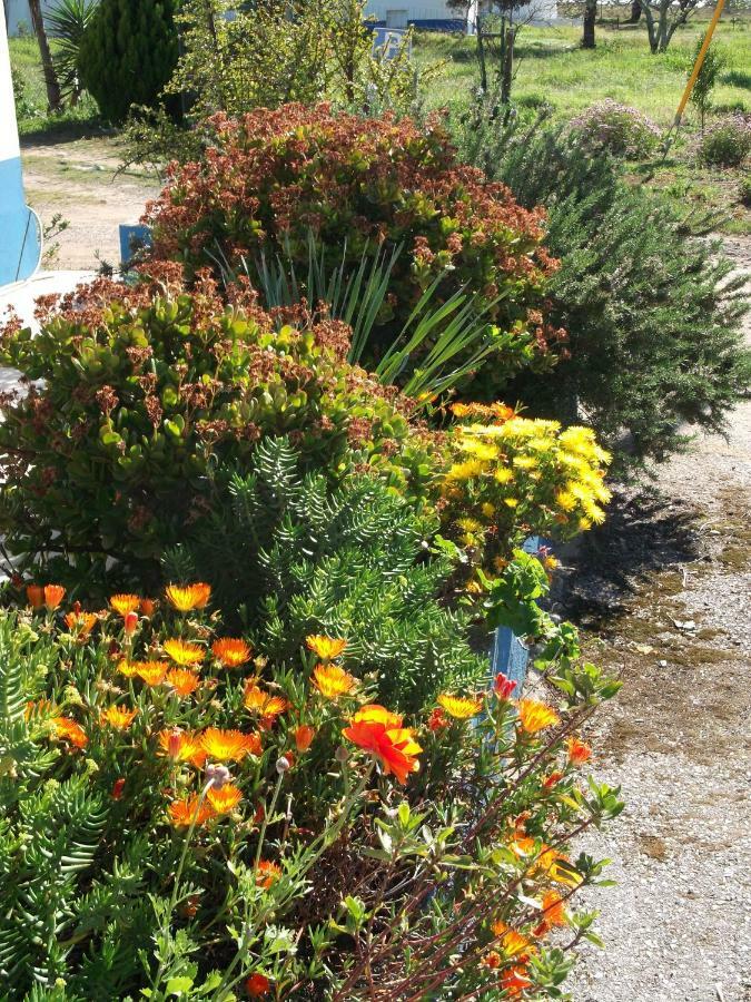 Quinta Do Pinheiro Ξενοδοχείο Grândola Εξωτερικό φωτογραφία