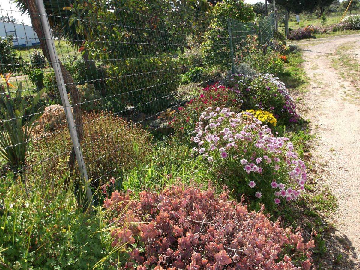 Quinta Do Pinheiro Ξενοδοχείο Grândola Εξωτερικό φωτογραφία