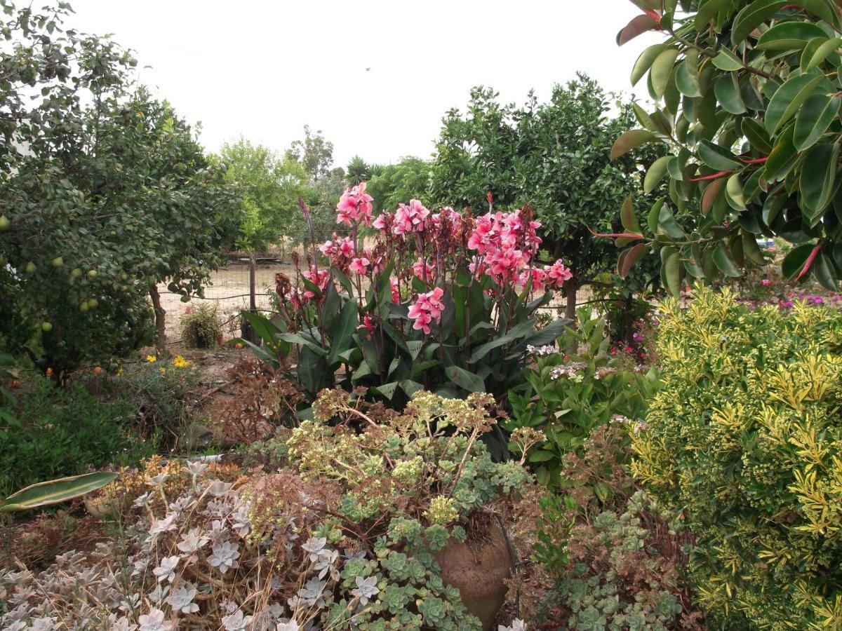 Quinta Do Pinheiro Ξενοδοχείο Grândola Εξωτερικό φωτογραφία